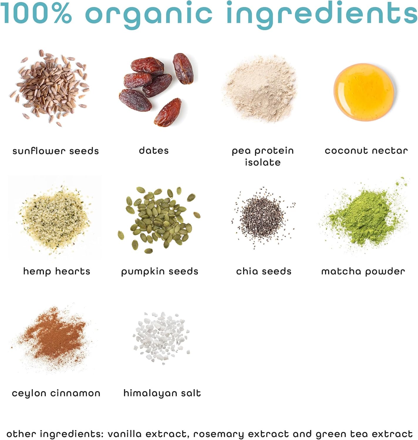 Organic Matcha Latte Vegan Protein Bars - Keto, Gluten Free, Dairy Free, Non GMO - 10 Pack