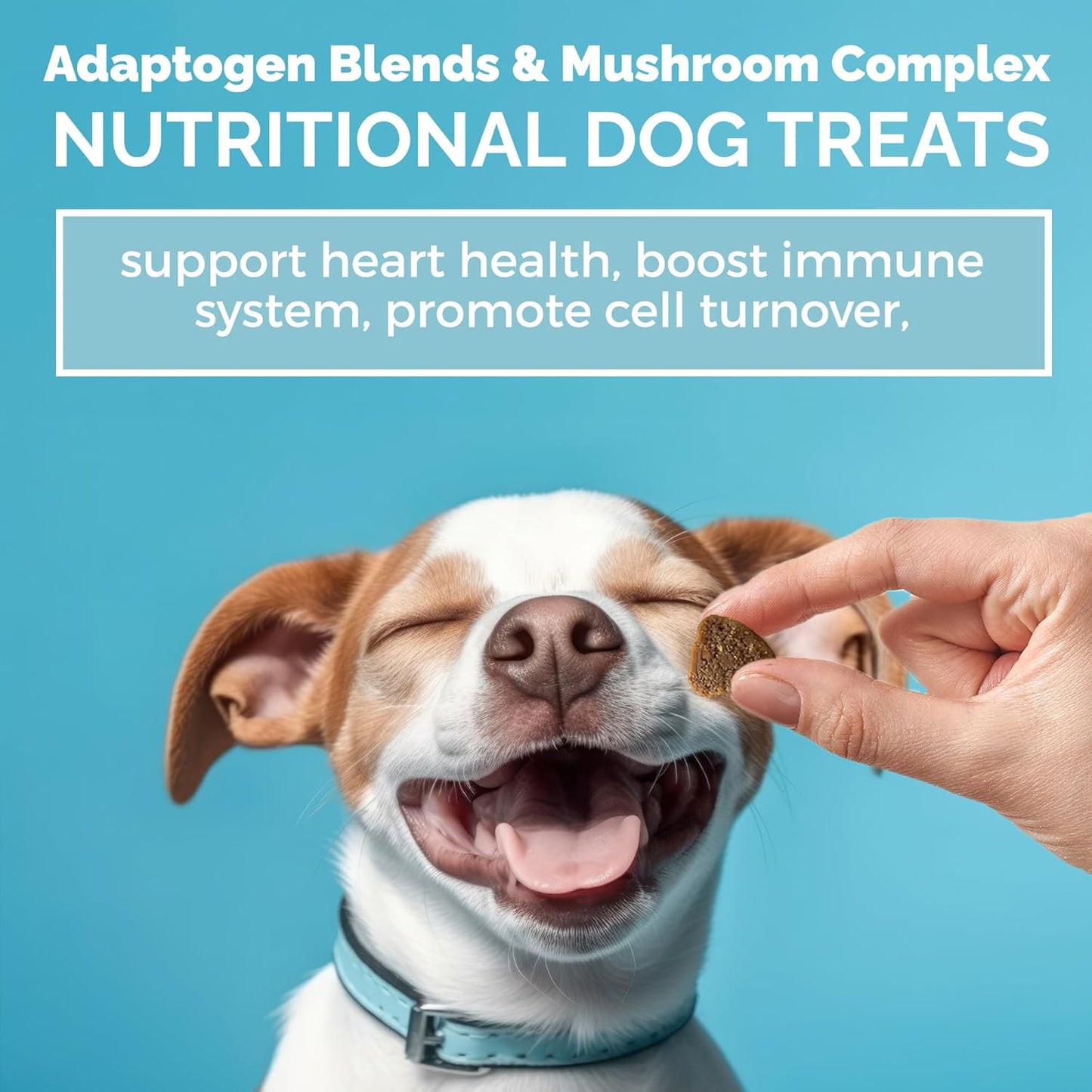 Organic MEDii Pet Dog Mushroom Supplement - Top 7 Mushrooms for Dogs, 125 Count - Boost Immunity, Promote Health, Control Toxins - Holistic Vegan Ingredients