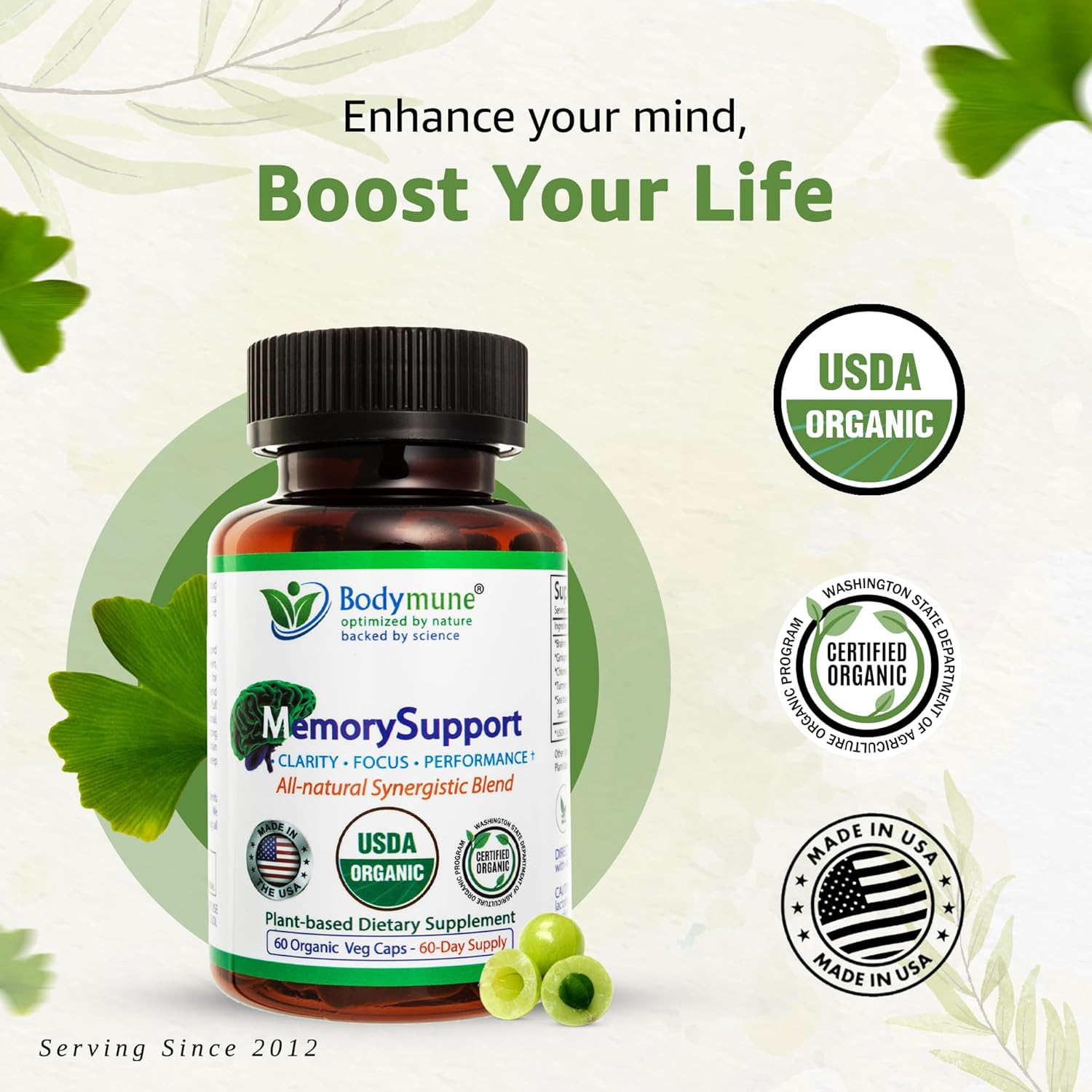 Organic Memory Support Supplement with Ginkgo Biloba and Ashwagandha for Mental Fatigue