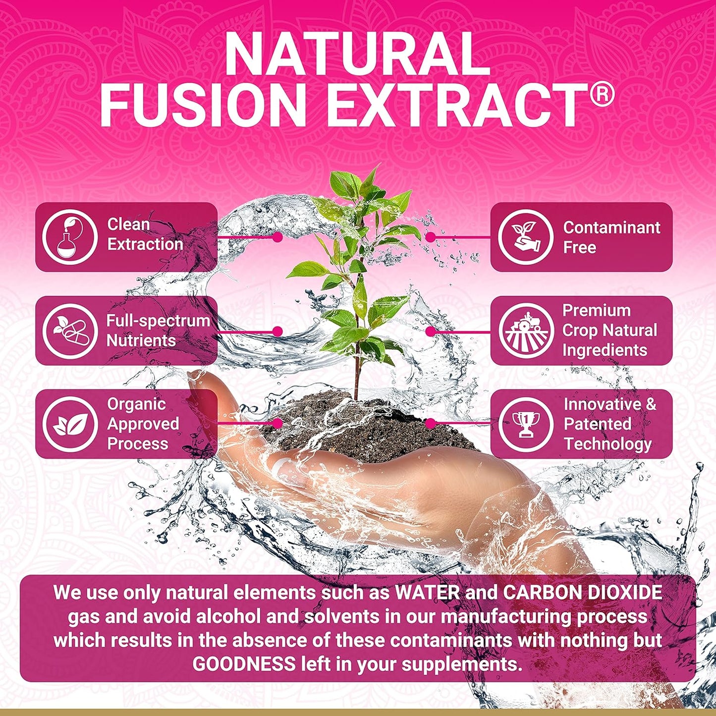 Organic Menopause Bundle for Women | USDA Certified | Moringa & Holy Basil with Vitamin B6 | MenoHarmony Capsules | Multi-Award-Winning