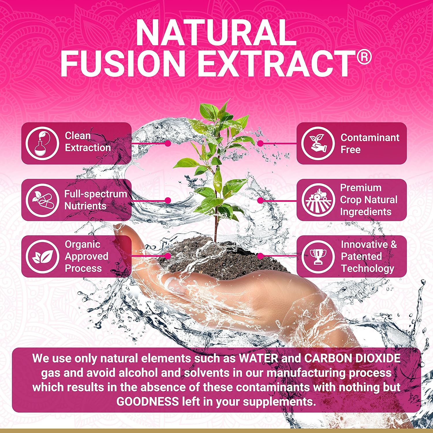 Organic Menopause Bundle for Women | USDA Certified | Moringa & Holy Basil with Vitamin B6 | MenoHarmony Capsules | Multi-Award-Winning