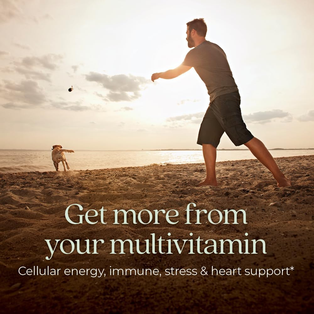Organic Men's Multivitamin with Immune, Stress, Heart, and Energy Support - Every Man's One Daily - 96 ct