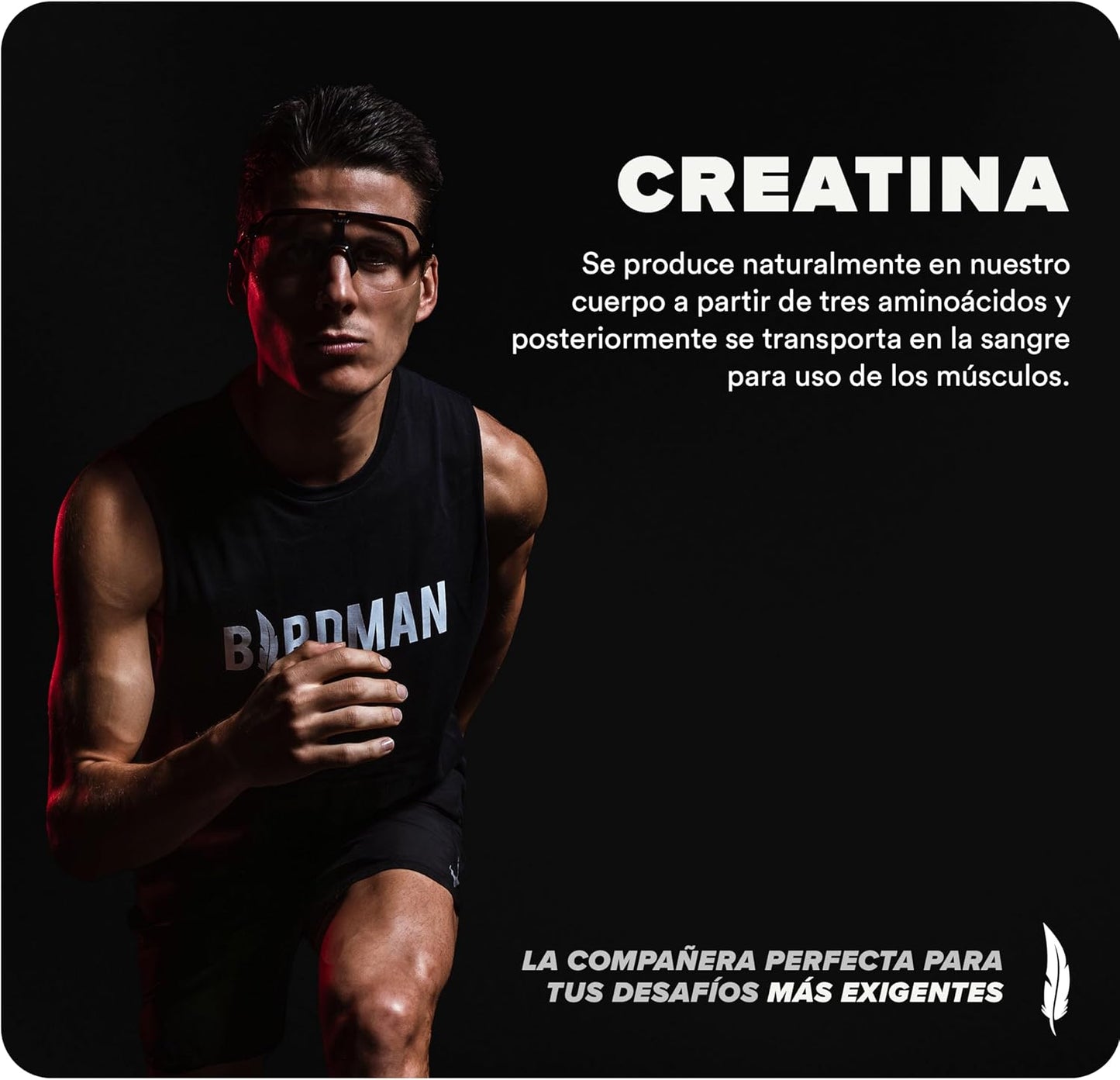Organic Micronized Creatine Monohydrate Powder for Muscle Recovery - Unflavored, High-Purity, Caffeine-Free Pre/Post Workout Supplement