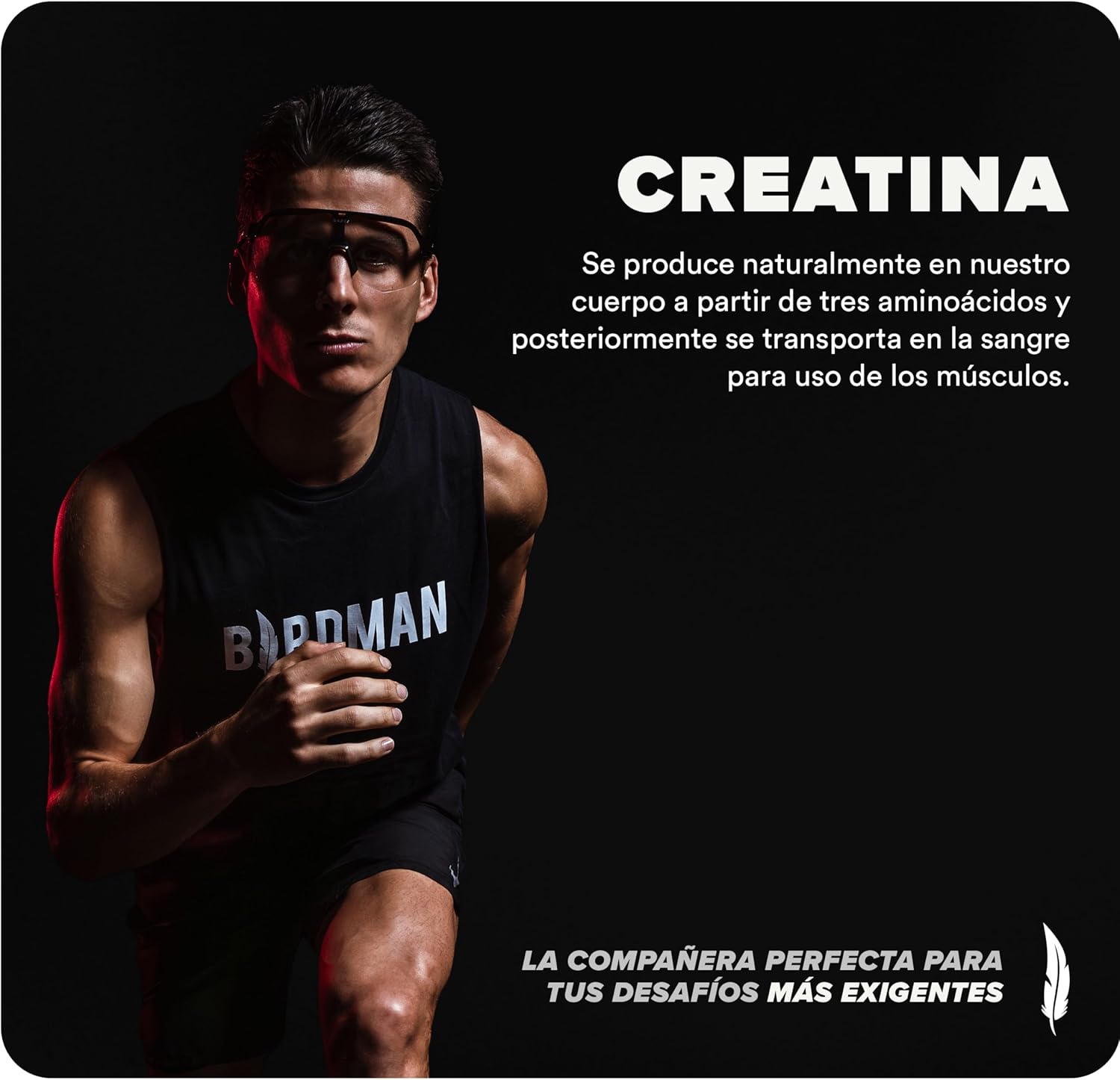 Organic Micronized Creatine Monohydrate Powder for Muscle Recovery - Unflavored, High-Purity, Caffeine-Free Pre/Post Workout Supplement