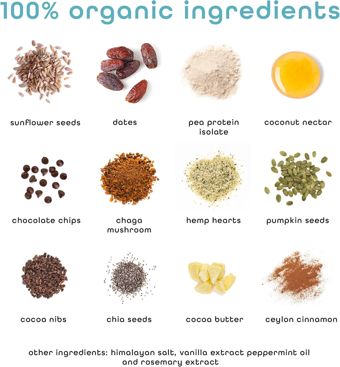 Organic Mint Chocolate Chip Vegan Protein Bars with Chaga Mushroom - Keto, Gluten-Free, Dairy-Free, Low Sugar, High Protein