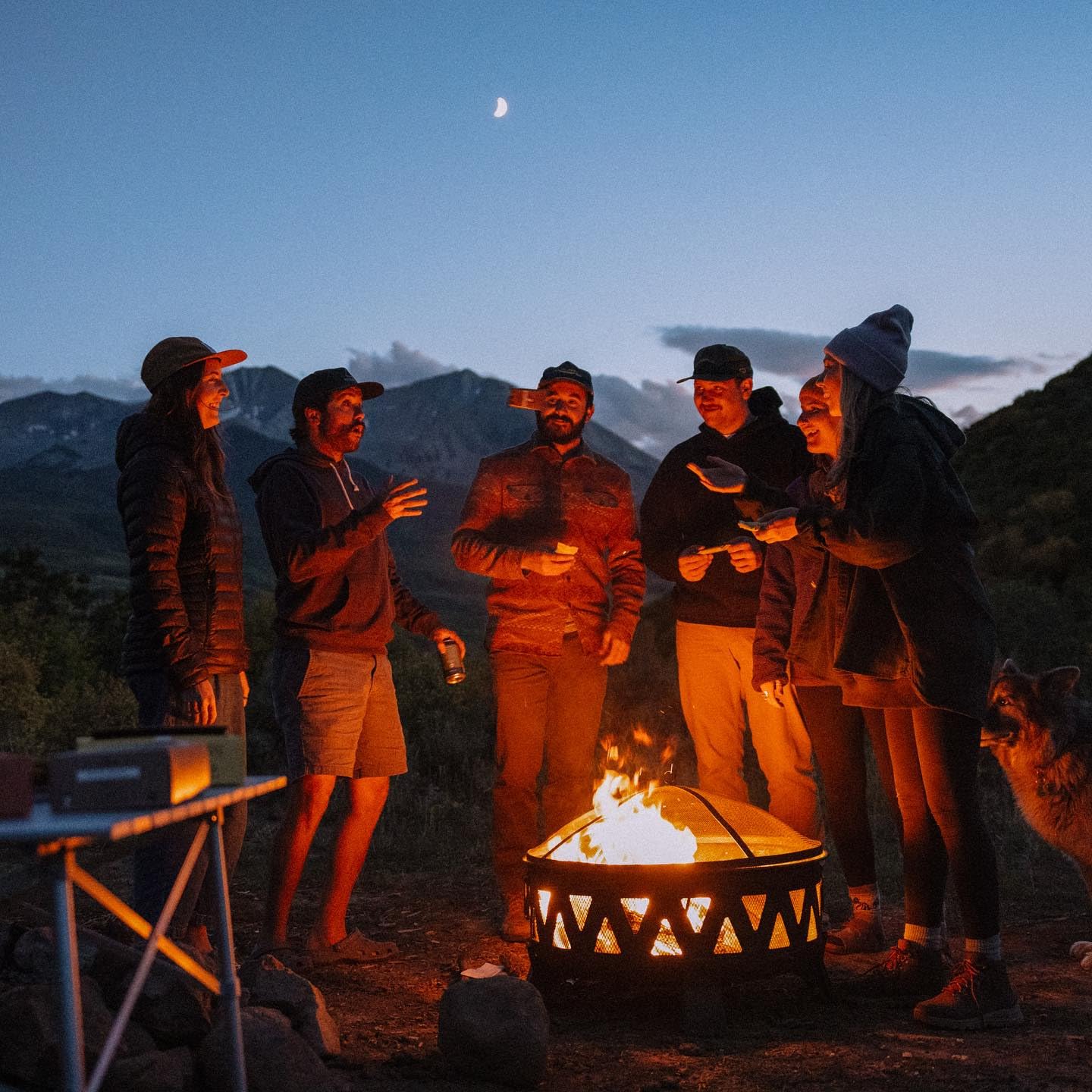 Organic Mocha Coconut Adaptogen Mushroom Bars - 12 Count Vegan Gluten Free Energy Snacks