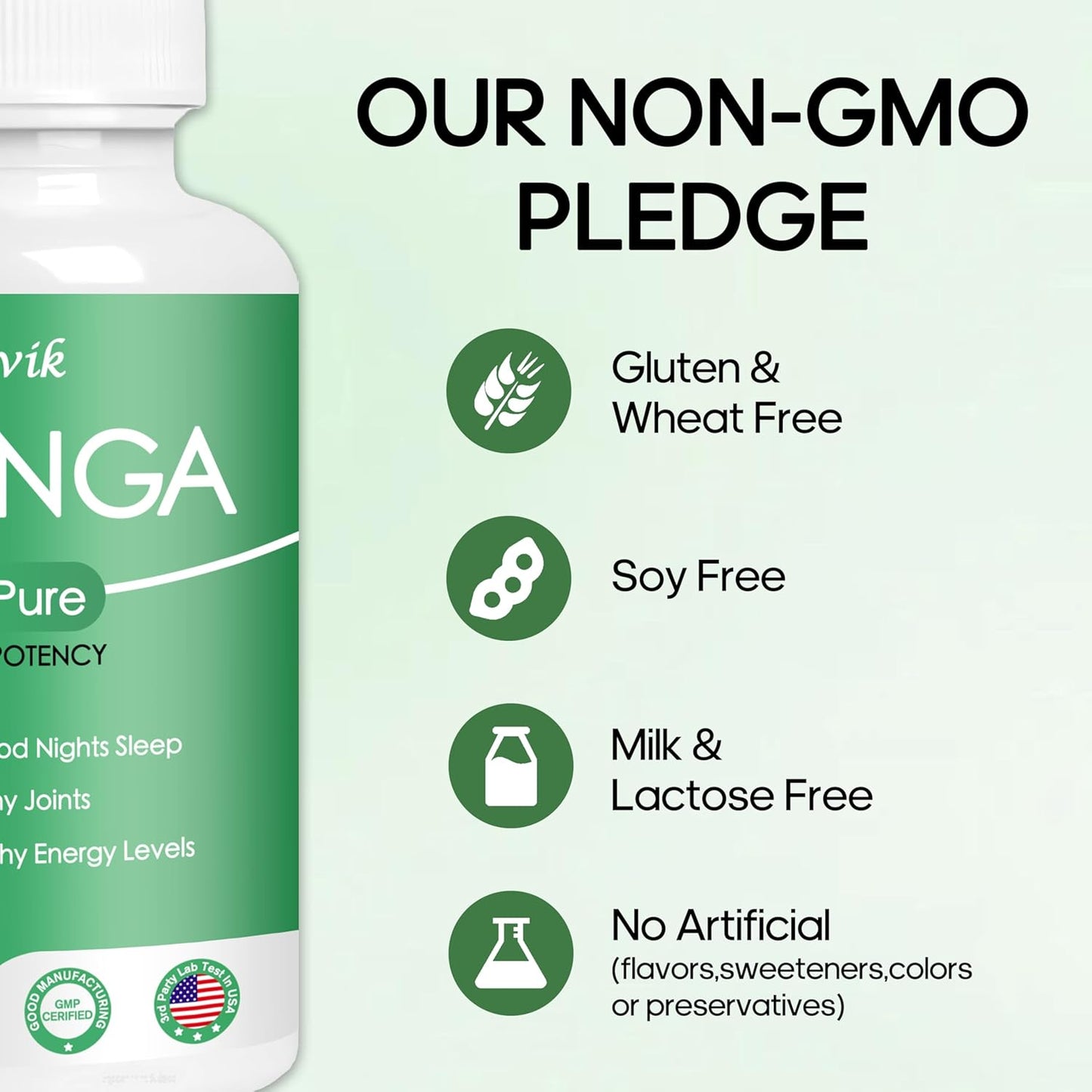 Organic Moringa Capsules - 800mg Pure Powder for Energy, Gut Health & Immune Support