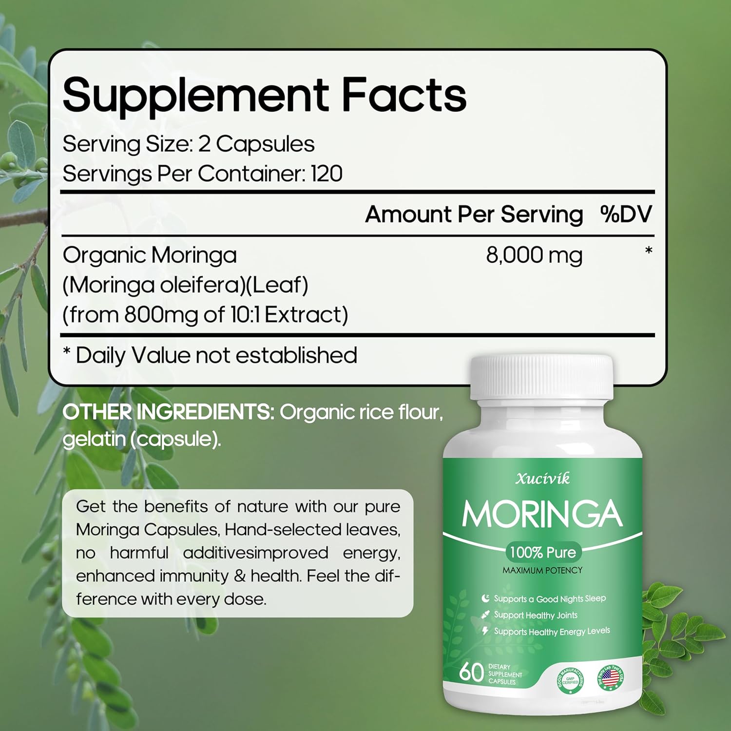 Organic Moringa Capsules - 800mg Pure Powder for Energy, Gut Health & Immune Support