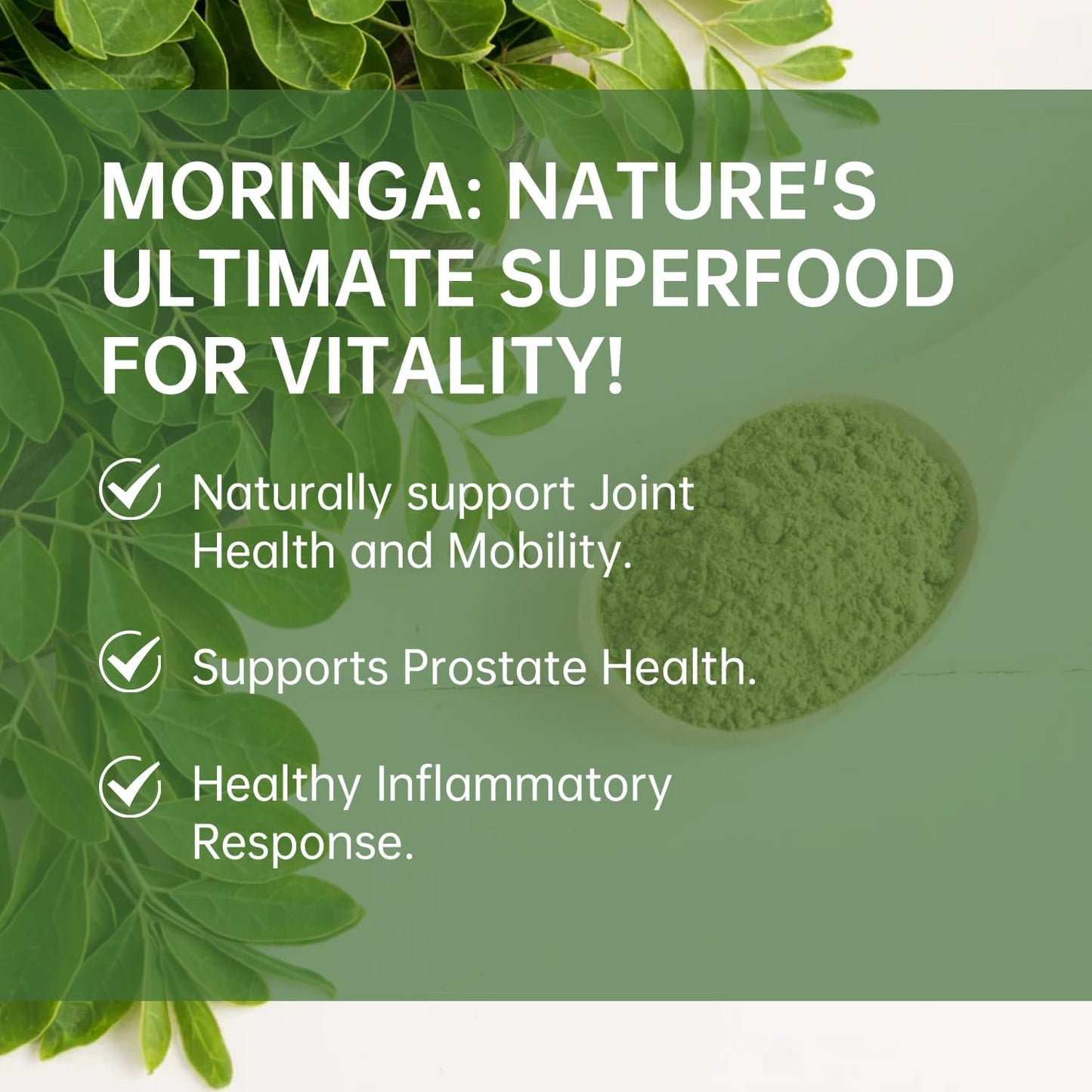 Organic Moringa Oleifera Leaf Powder - Non-GMO Superfood for Smoothies, Drinks, Tea, Recipes - Vegan - High Quality