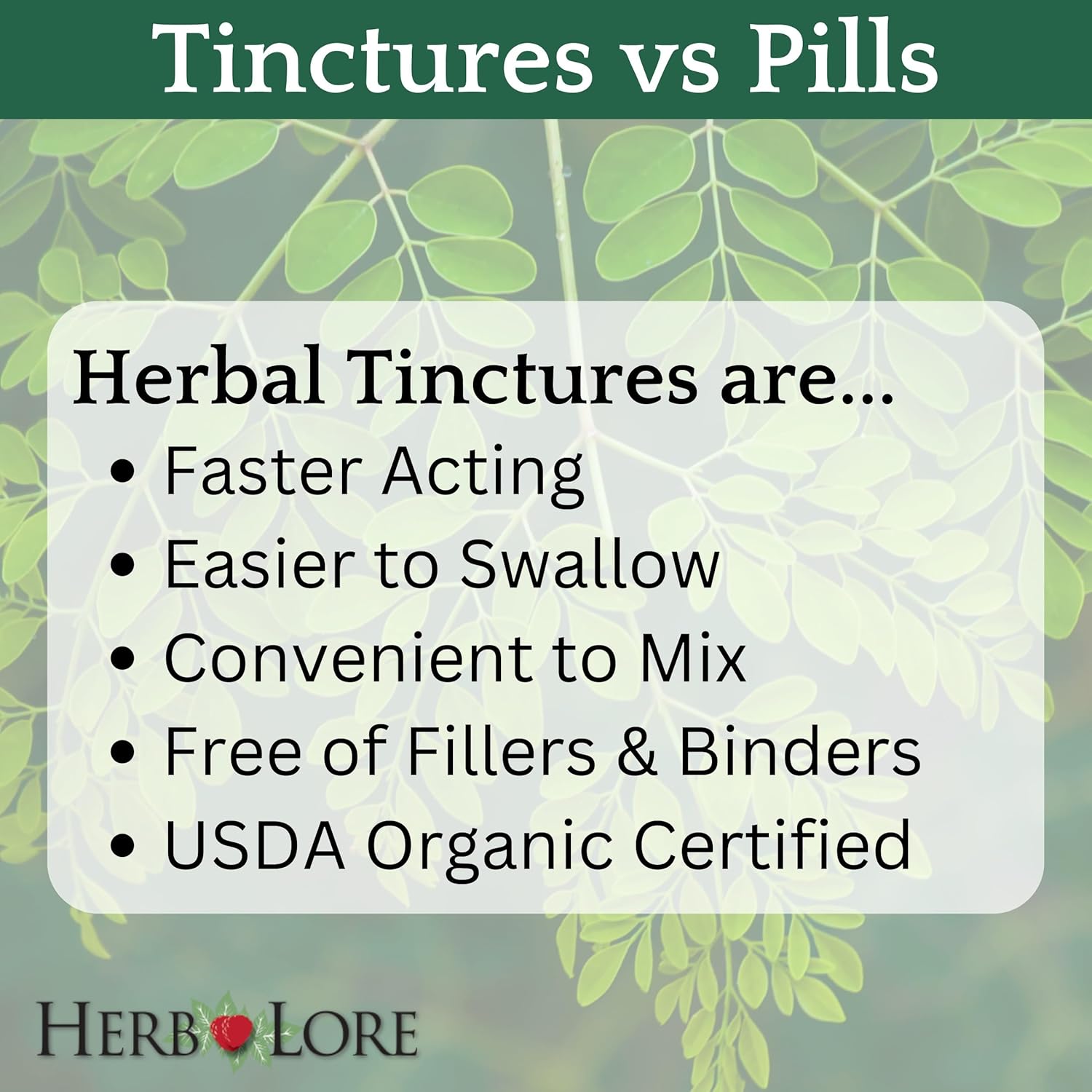 Organic Moringa Tincture for Breastfeeding Support - Liquid Supplement Drops (4 fl oz) by Herb Lore