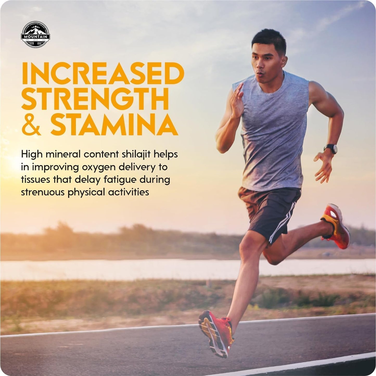 Organic Mountain Gold Shilajit Resin - Pure Himalayan Shilajit Rich in Humic & Fulvic Acid - Immune System Booster - Vegan Friendly - 1oz