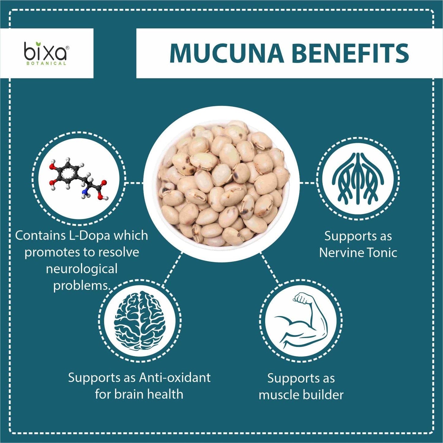 Organic Mucuna Pruriens Powder - Ayurvedic Herbal Supplement - Energy Booster - 16 OZ Gluten-Free Vegan Powder