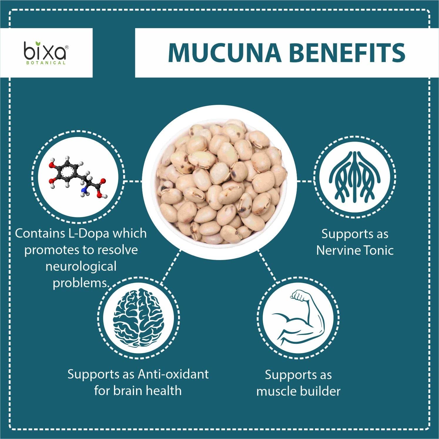Organic Mucuna Pruriens Powder - Ayurvedic Herbal Supplement - Energy Booster - 16 OZ Gluten-Free Vegan Powder