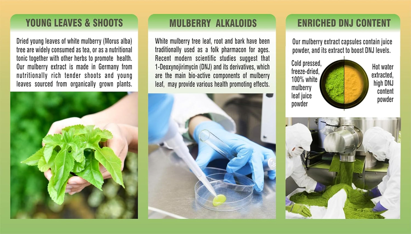 Organic Mulberry Leaf Extract - Wholesome and Potent Raw Supplement (180 Capsules)