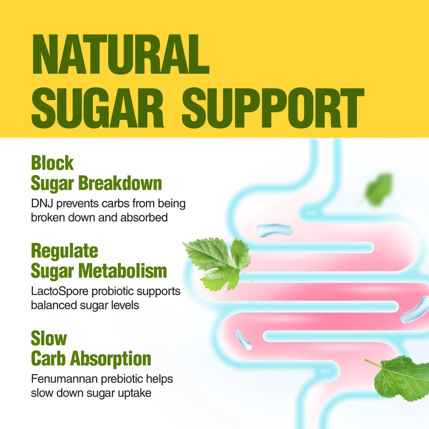 Organic Mulberry Leaf Extract Capsules with Probiotic & Prebiotic for Healthy Carb Cravings Support