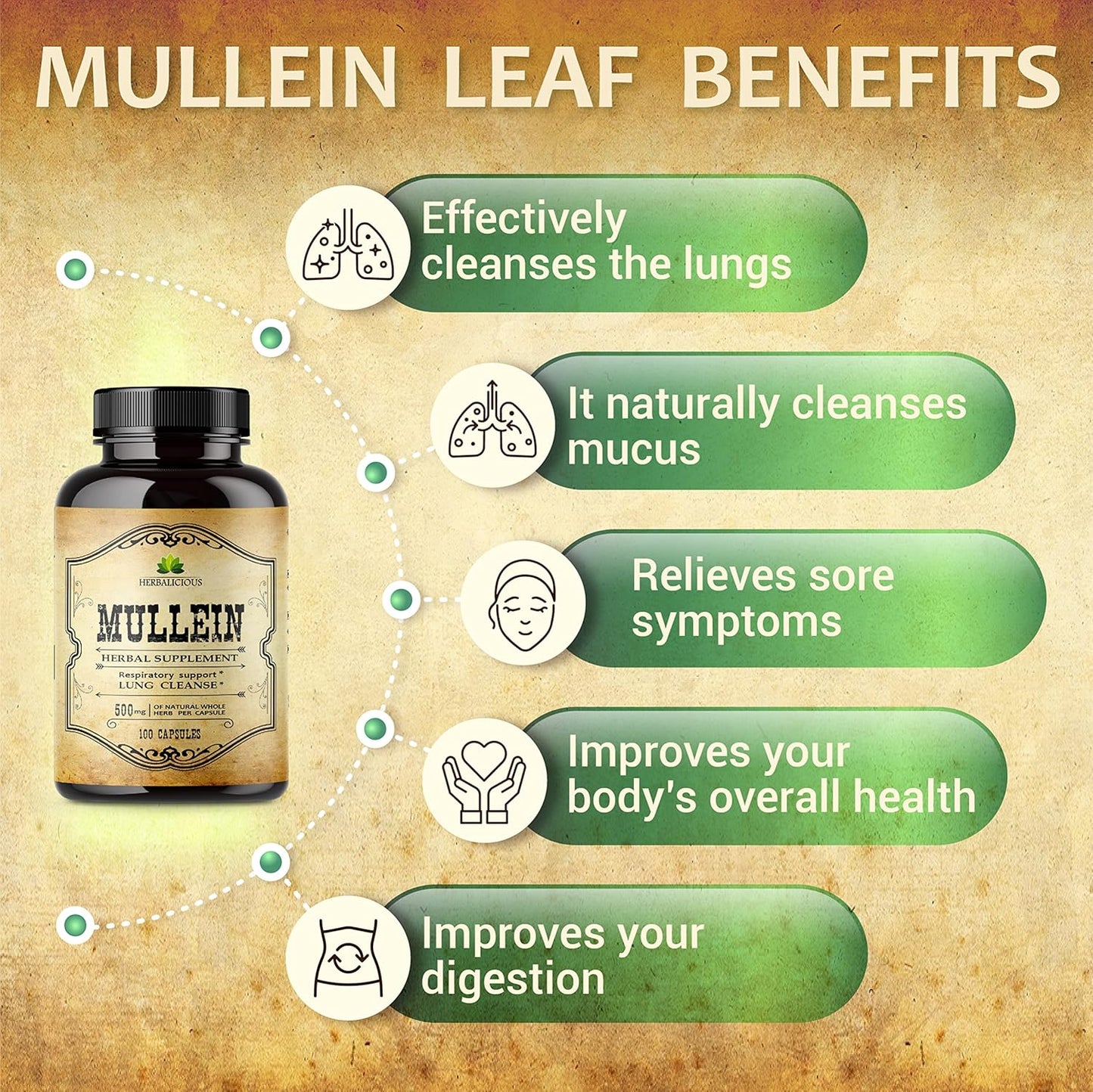 Organic Mullein Leaf Capsules - Lung & Digestive Wellness Supplement - Respiratory Support Pills - Vegan Non-GMO Herbal Extract - 100 Capsules