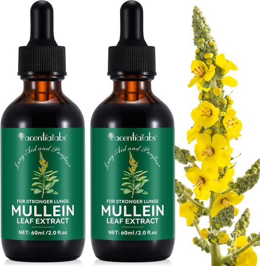 Organic Mullein Leaf Extract Drops for Fast Lung Support - 4 OZ Vegan Liquid Tincture