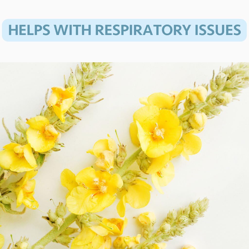 Organic Mullein Leaf Tea Bags for Lung Cleanse and Detox - Natural Herbal Blend for Easy Breathing and Immune Support