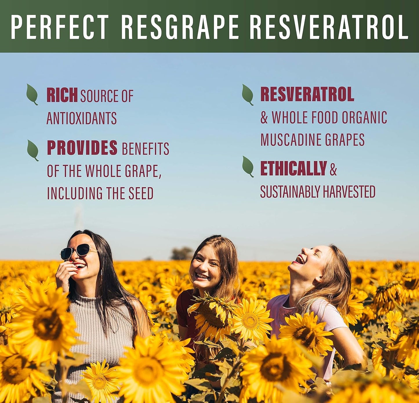 Organic Muscadine Grapes Resveratrol Capsules - 3 Pack of Perfect ResGrape - 60 Capsules - Trans-Resveratrol Formula