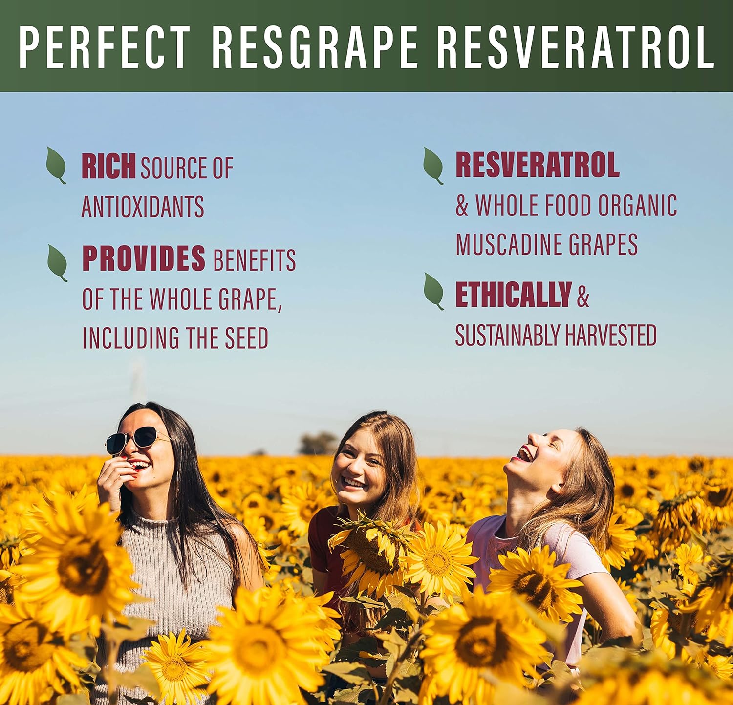 Organic Muscadine Grapes Resveratrol Capsules - 3 Pack of Perfect ResGrape - 60 Capsules - Trans-Resveratrol Formula