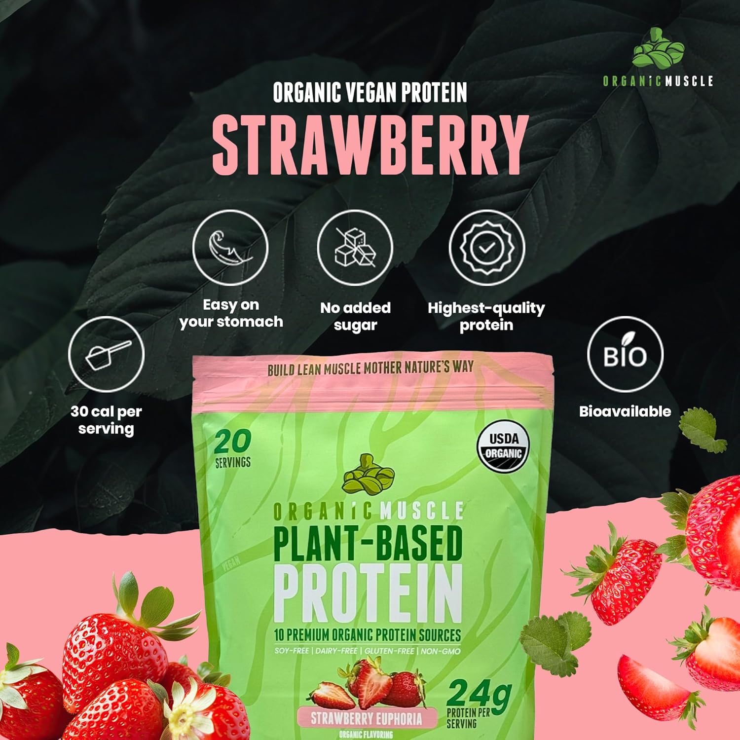 Organic Muscle Vegan Protein Powder - Strawberry Plant Based Protein Blend for Muscle Growth & Recovery - Low Calorie Organic Protein Powder