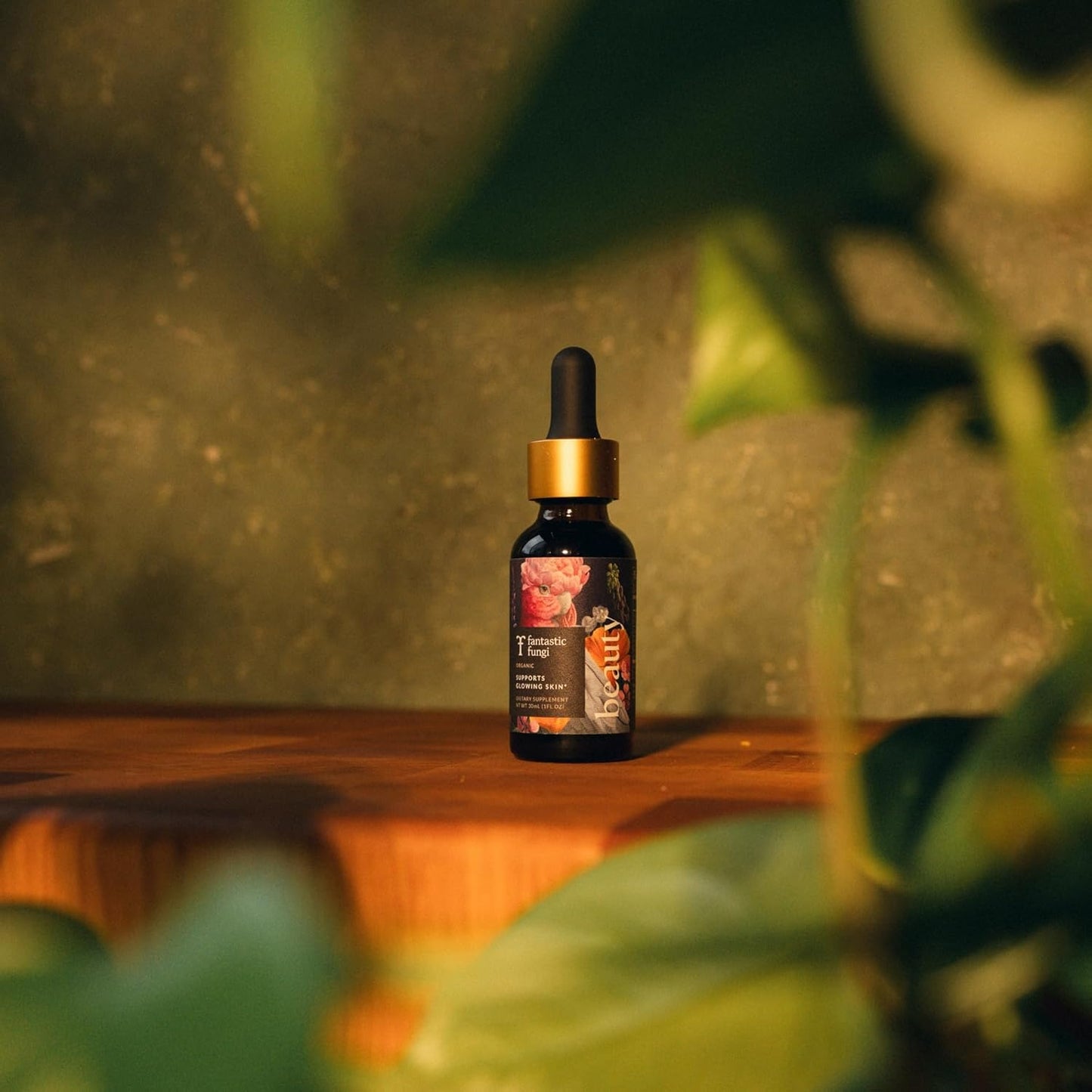 Organic Mushroom Beauty Elixir with Tremella & Chaga Extract - Liquid Drops for Radiant Skin, Hair & Nails - 30 Servings, 1 fl oz