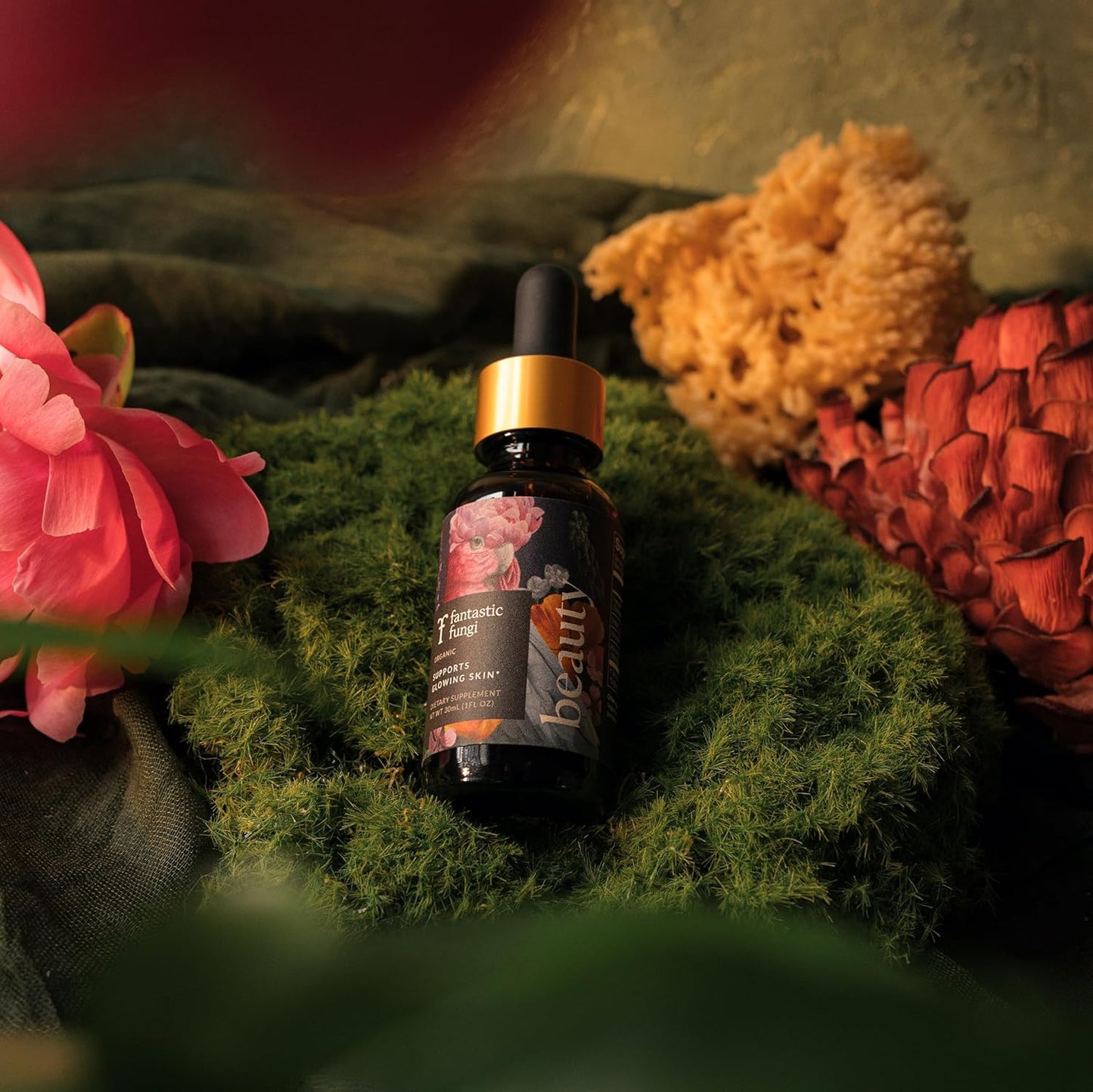 Organic Mushroom Beauty Elixir with Tremella & Chaga Extract - Liquid Drops for Radiant Skin, Hair & Nails - 30 Servings, 1 fl oz