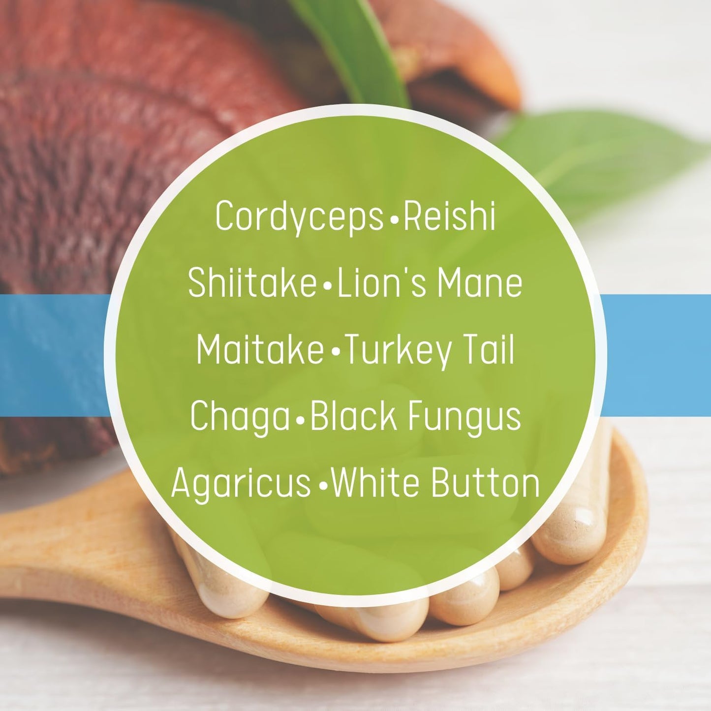 Organic Mushroom Blend Complex Capsules - 10 Varieties - Vegan Friendly - 60 Count - 30 Day Supply