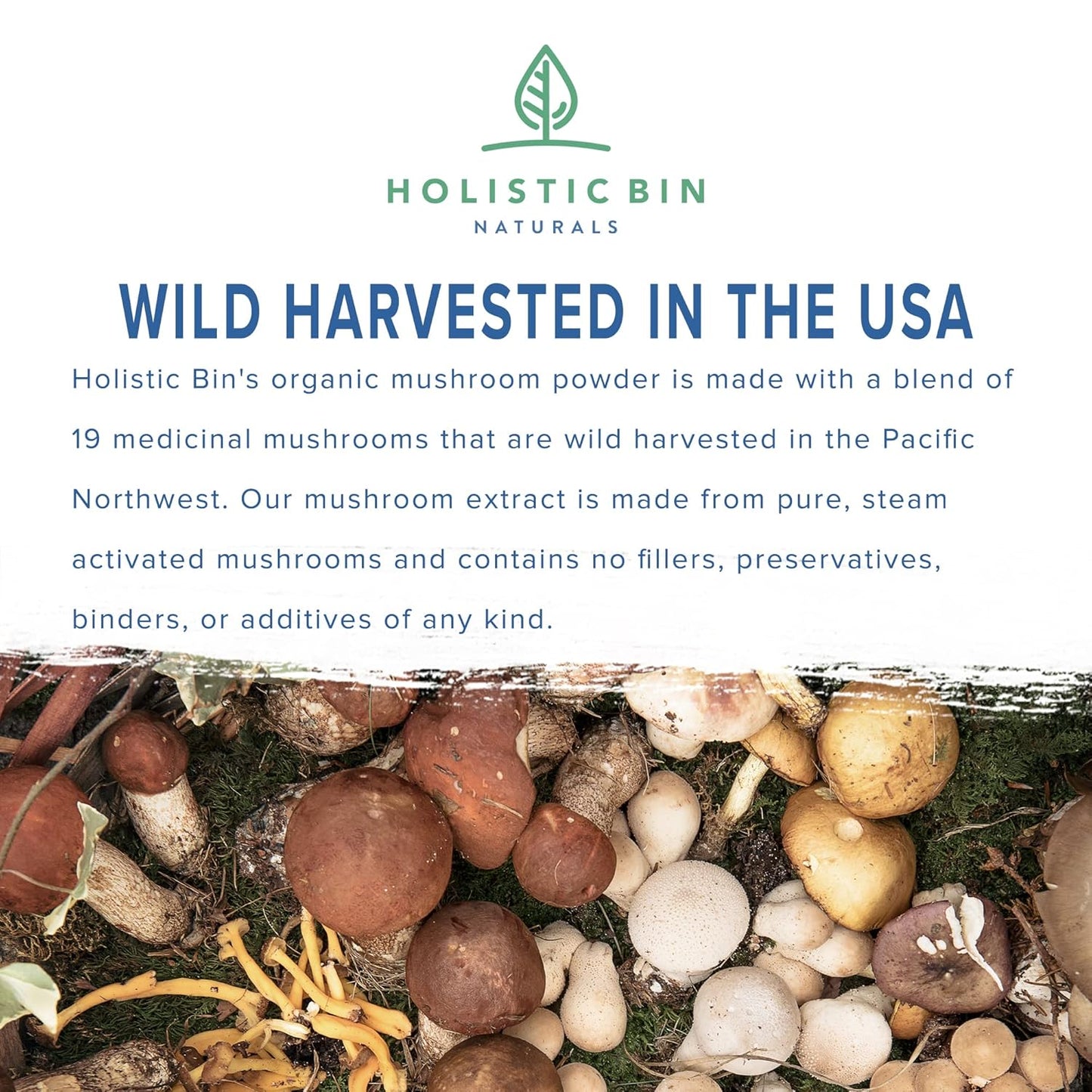 Organic Mushroom Blend Powder with 19 Wild Harvested Varieties | Adaptogenic Mushrooms Supplement | Made in USA