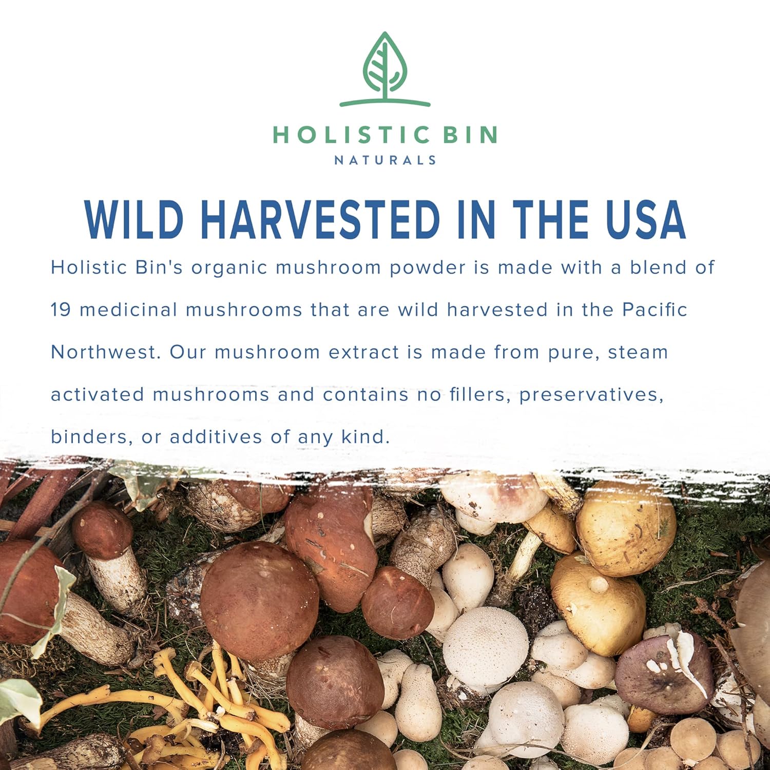 Organic Mushroom Blend Powder with 19 Wild Harvested Varieties | Adaptogenic Mushrooms Supplement | Made in USA