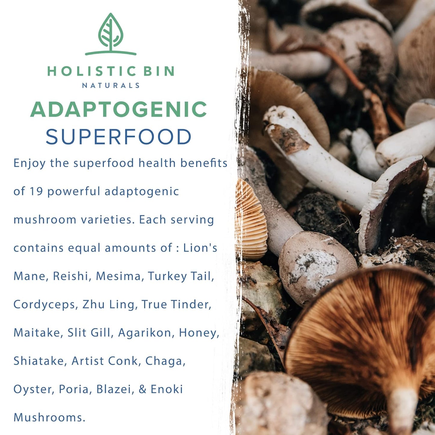 Organic Mushroom Blend Powder with 19 Wild Harvested Varieties | Adaptogenic Mushrooms Supplement | Made in USA