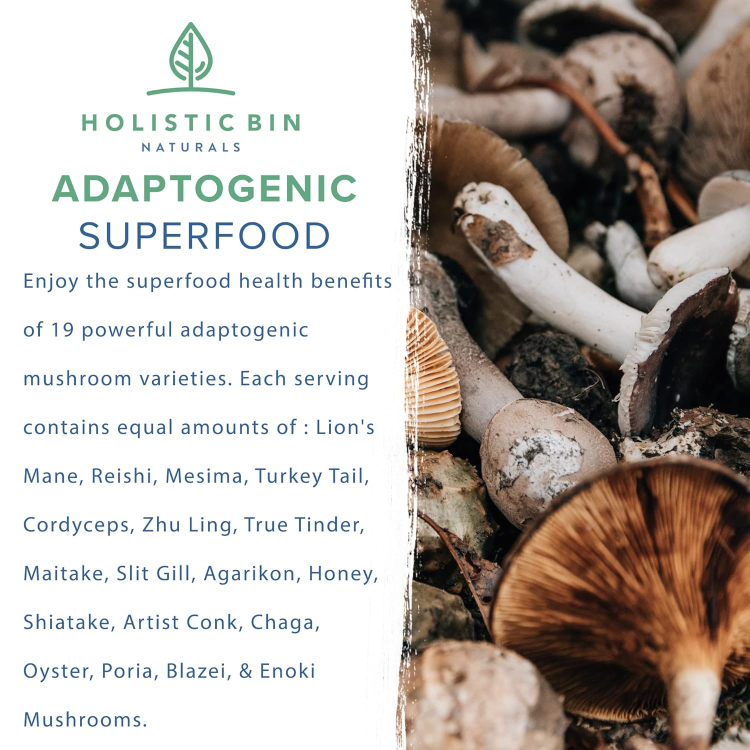Organic Mushroom Blend Powder with 19 Wild Harvested Varieties | Adaptogenic Mushrooms Supplement | Made in USA