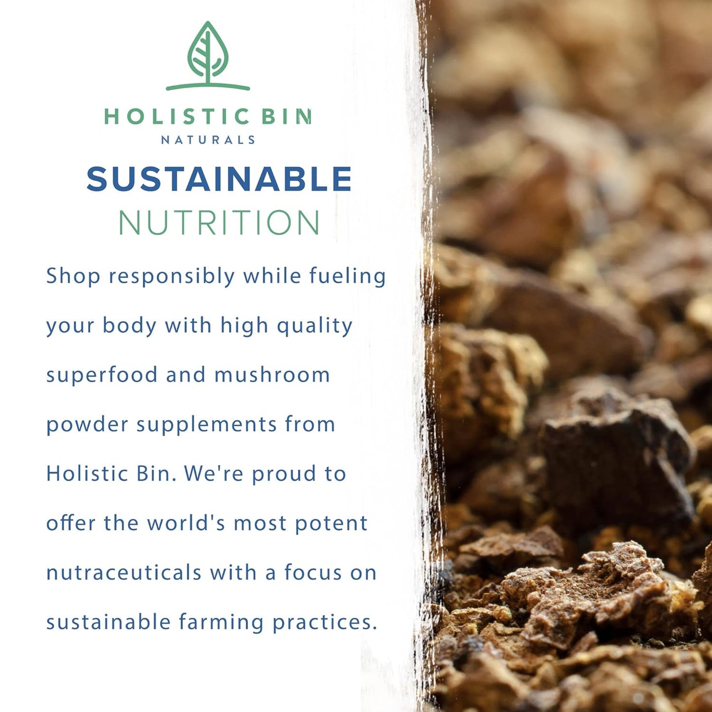 Organic Mushroom Blend Powder with 19 Wild Harvested Varieties | Adaptogenic Mushrooms Supplement | Made in USA