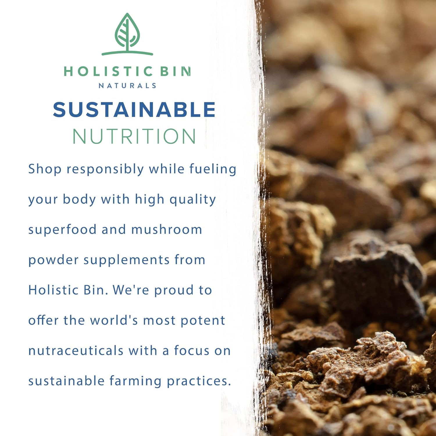 Organic Mushroom Blend Powder with 19 Wild Harvested Varieties | Adaptogenic Mushrooms Supplement | Made in USA