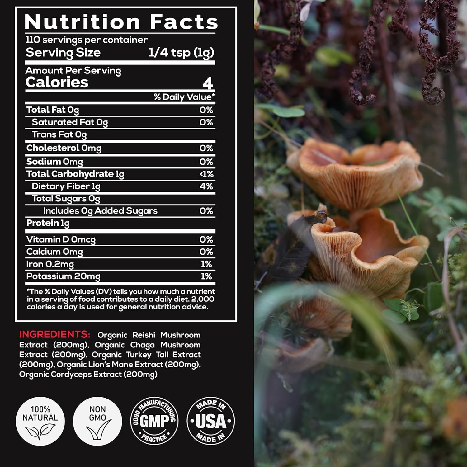 Organic Mushroom Cacao Mix & Master Mushroom Blend Bundle for Energy and Clarity (20oz)