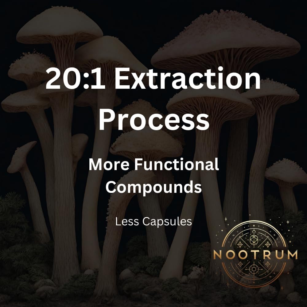 Organic Mushroom Capsules - Lion's Mane, Cordyceps, Reishi Blend, 30 Day Supply