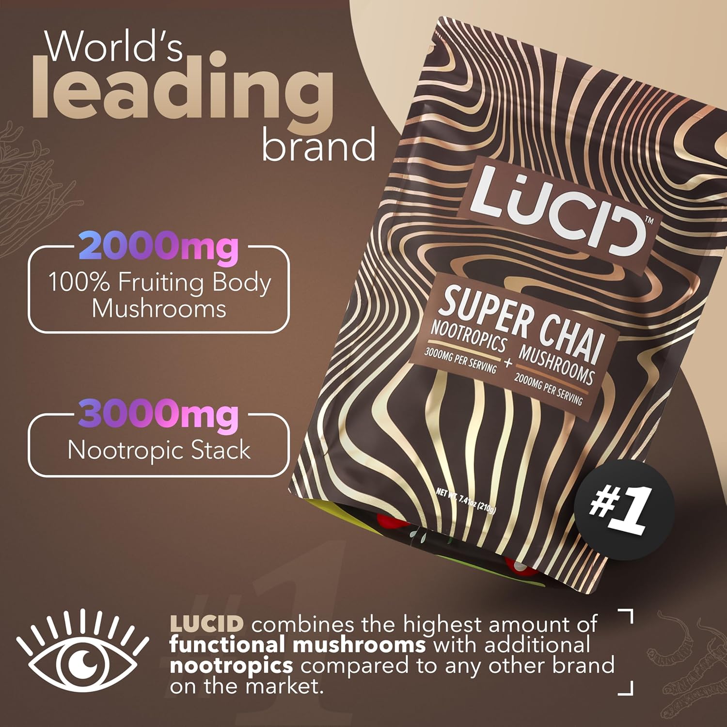 Organic Mushroom Chai with Nootropics for Brain Health - Lion's Mane, Tremella, Cordyceps, Turkey Tail - Instant Focus Blend with Alpha GPC, L-Theanine, Ginko Biloba - USA-Made