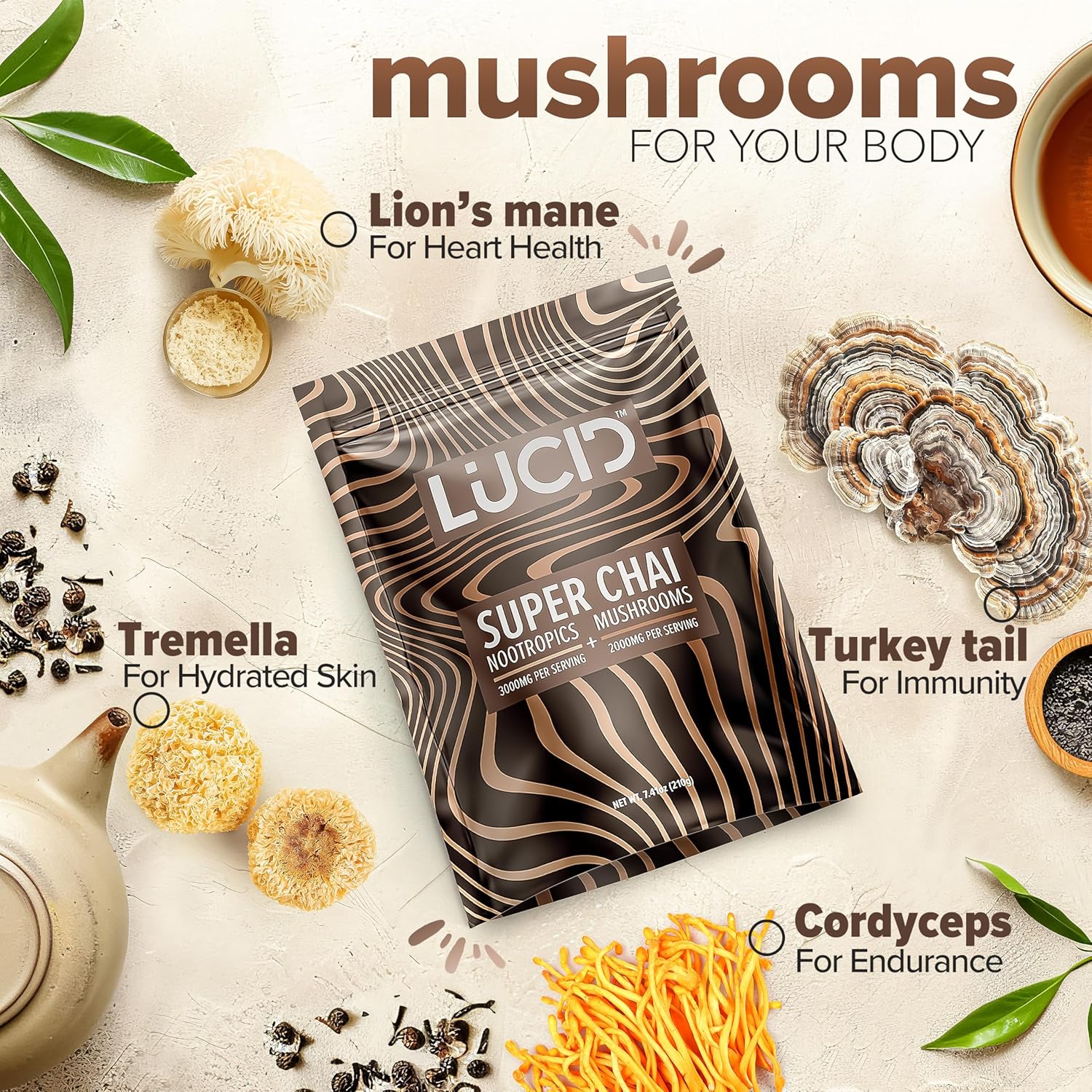 Organic Mushroom Chai with Nootropics for Brain Health - Lion's Mane, Tremella, Cordyceps, Turkey Tail - Instant Focus Blend with Alpha GPC, L-Theanine, Ginko Biloba - USA-Made