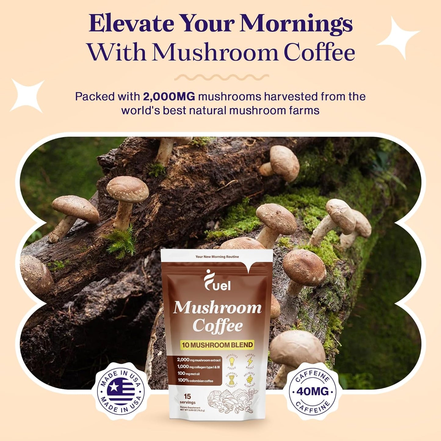 Organic Mushroom Coffee Blend for Gut Health & Brain Boost - Lion's Mane, Chaga, Nootropic Drink