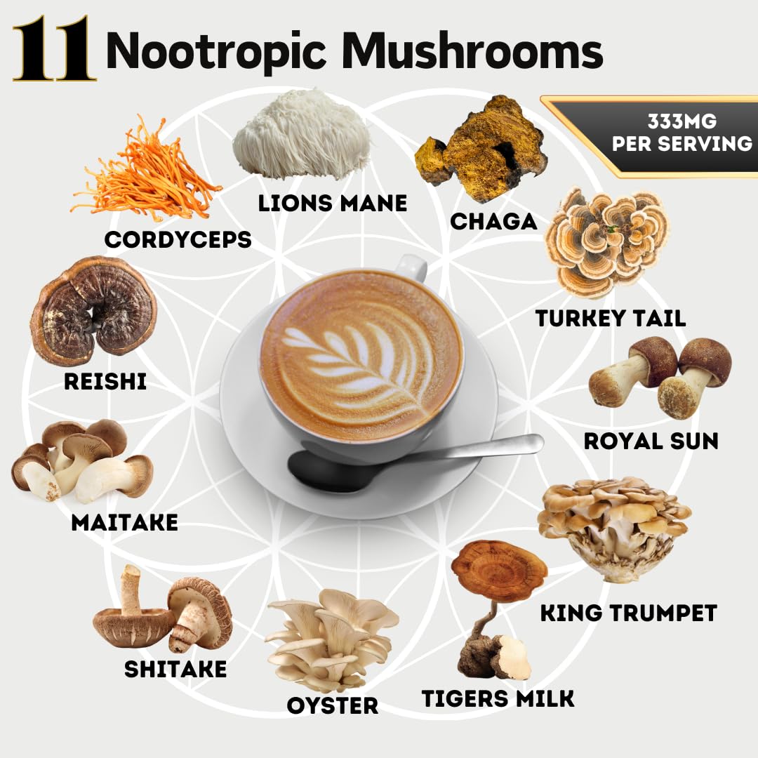 Organic Mushroom Coffee with Cacao Powder - 11 Nootropic Mushrooms, Instant Powder | 99 Servings - BoostGo Australia