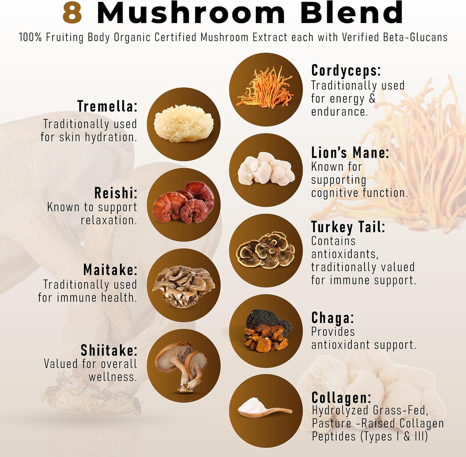 Organic Mushroom Coffee with Grass-Fed Collagen, Beta-Glucans, and Vitamins for Energy, Focus, and Immunity - 30 Servings