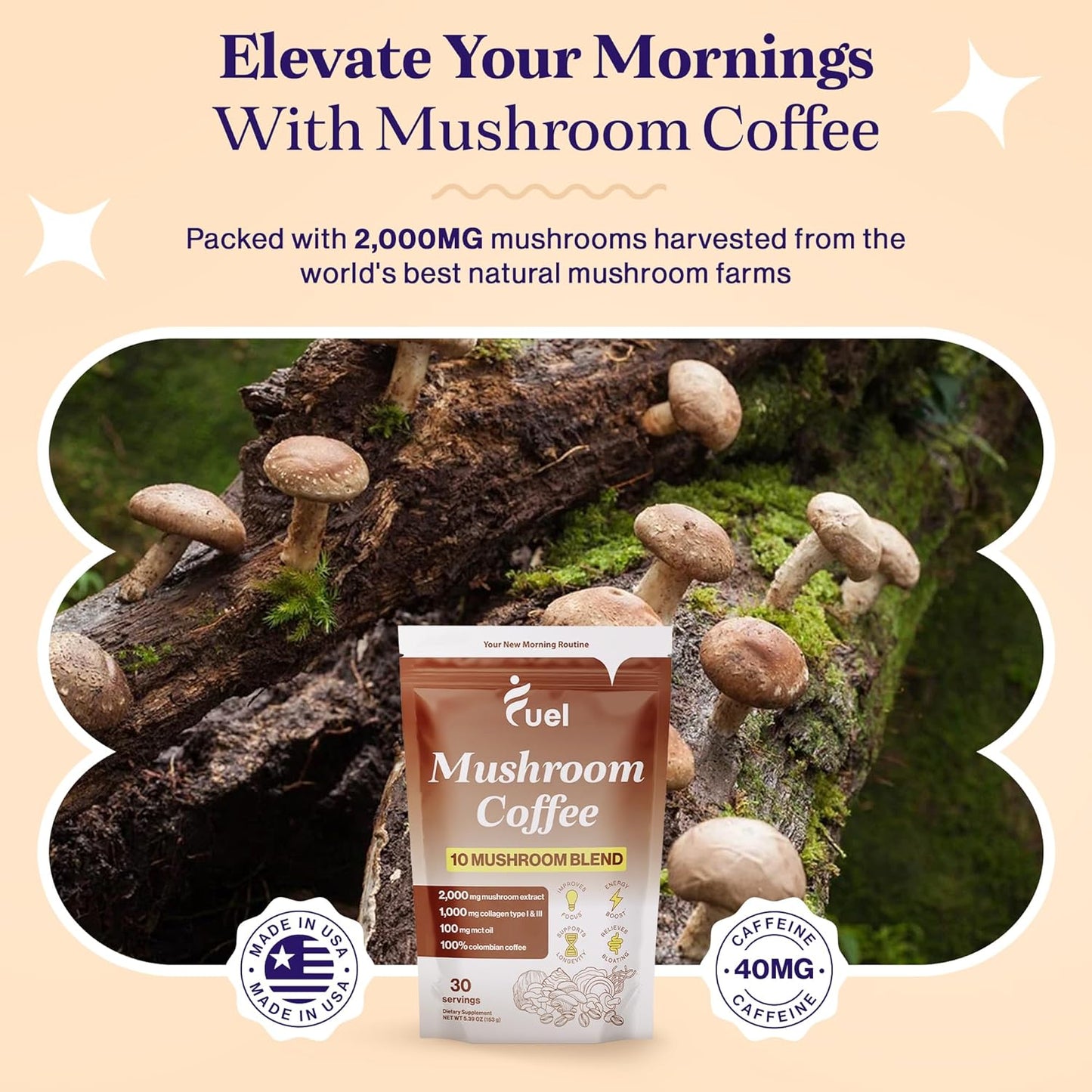 Organic Mushroom Coffee with Lion's Mane & Chaga for Brain Boost and Gut Health, Low Caffeine Nootropic Drink - 30 Servings