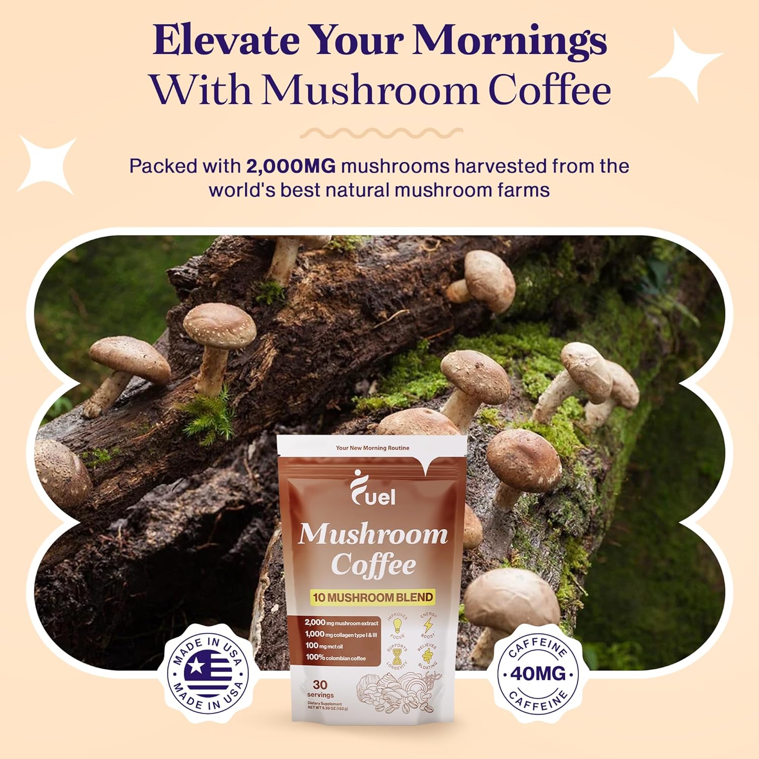 Organic Mushroom Coffee with Lion's Mane & Chaga for Brain Boost and Gut Health, Low Caffeine Nootropic Drink - 30 Servings