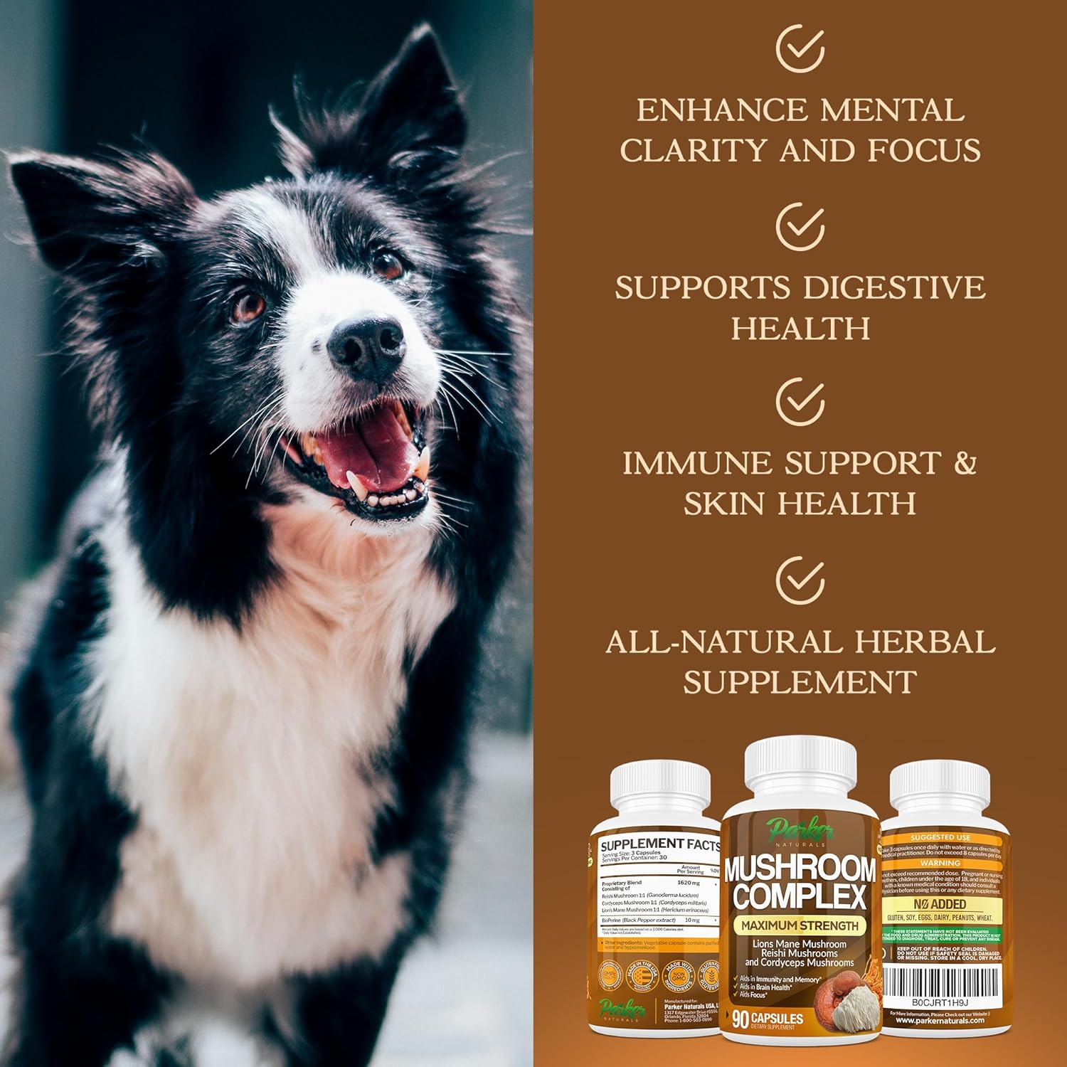 Organic Mushroom Complex Capsules - Lions Mane, Cordyceps, Reishi - Premium Strength Supplement, 90 Capsules