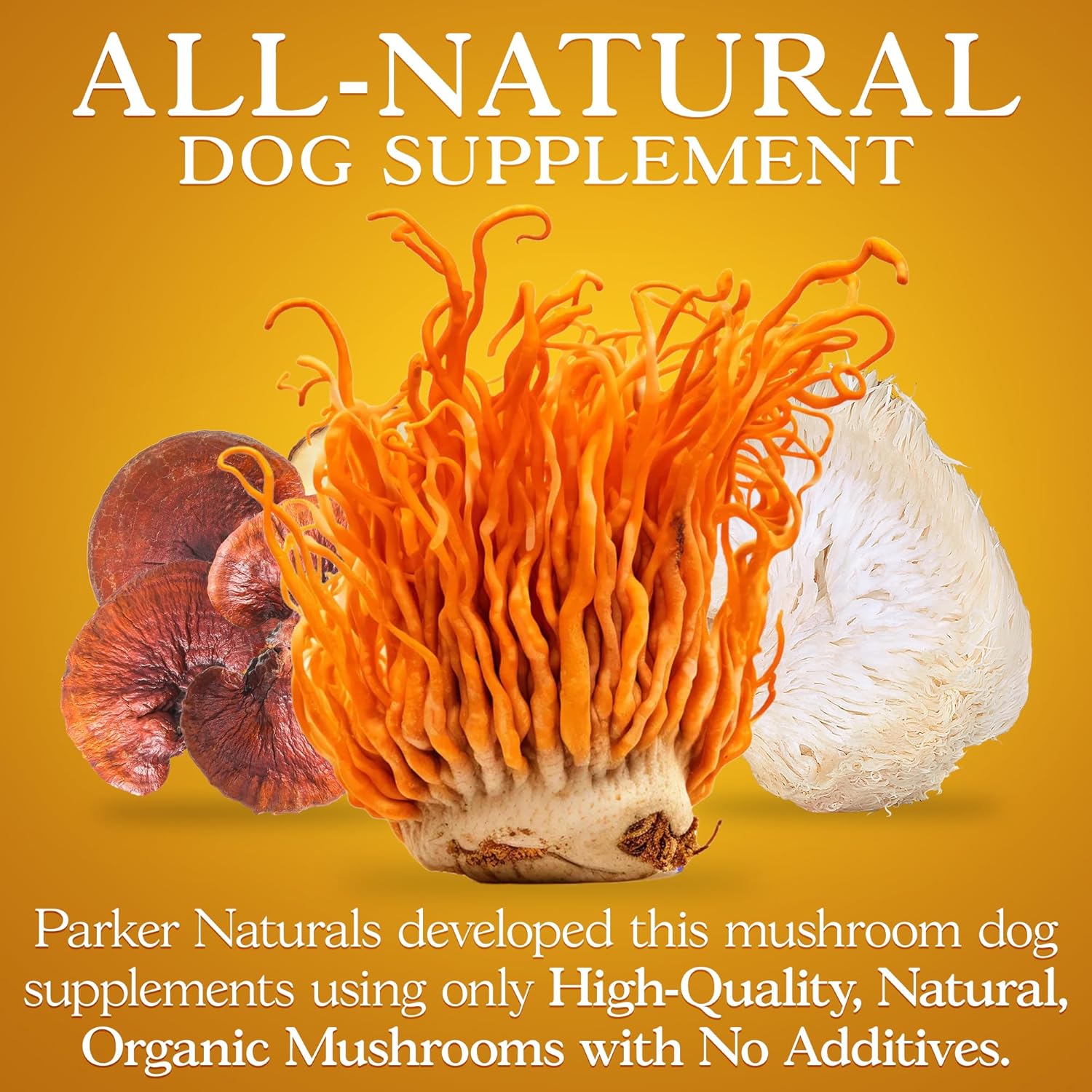 Organic Mushroom Complex Capsules - Lions Mane, Cordyceps, Reishi - Premium Strength Supplement, 90 Capsules