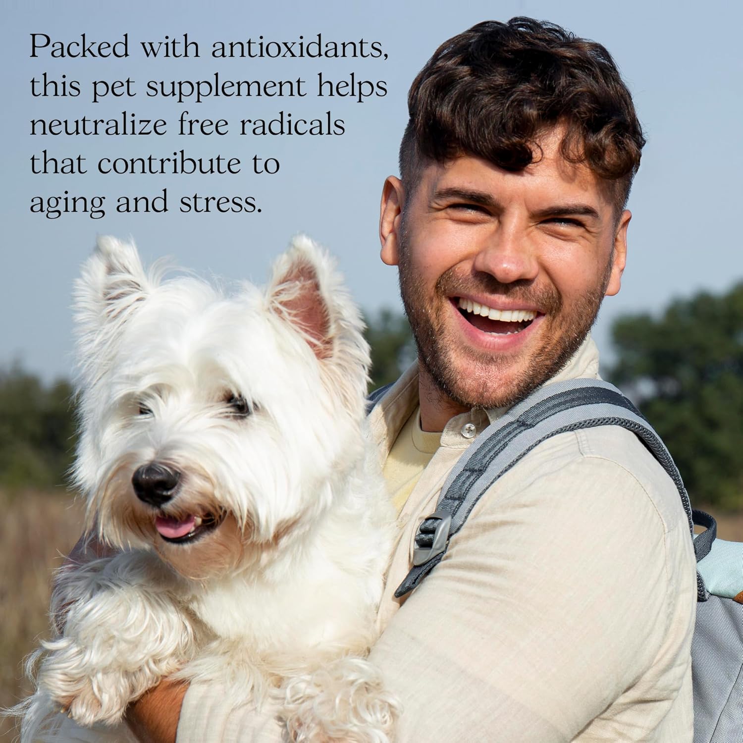 Organic Mushroom Complex Capsules - Lions Mane, Cordyceps, Reishi - Premium Strength Supplement, 90 Capsules