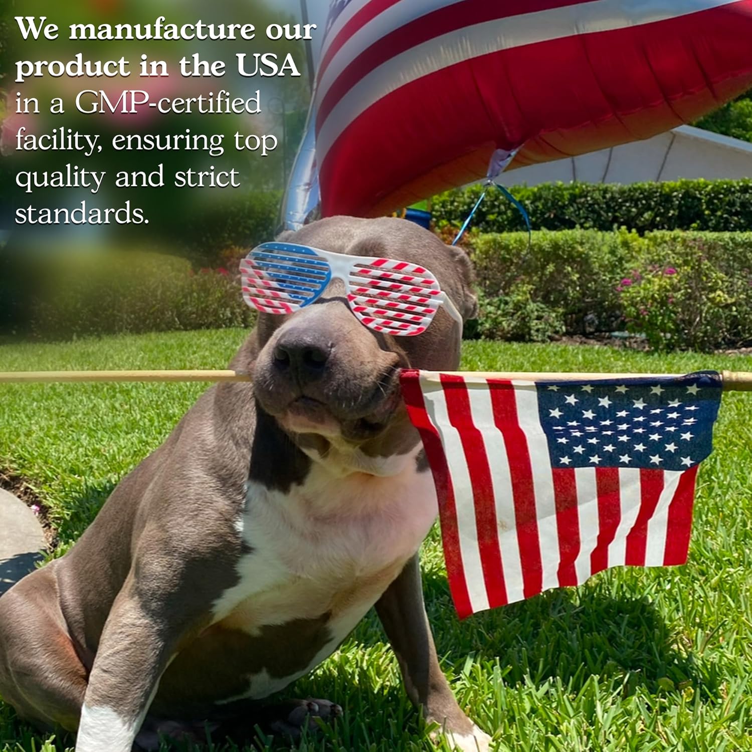 Organic Mushroom Complex Capsules - Lions Mane, Cordyceps, Reishi - Premium Strength Supplement, 90 Capsules