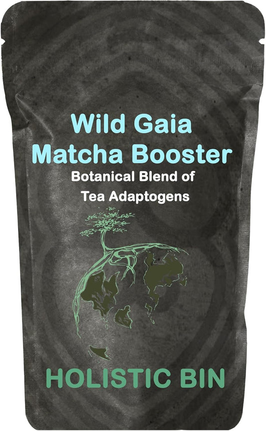Organic Mushroom Matcha Booster with Adaptogens for Brain Support - Wild Gaia | Lions Mane, Ashitaba Leaf, and Ginseng Powder Blend