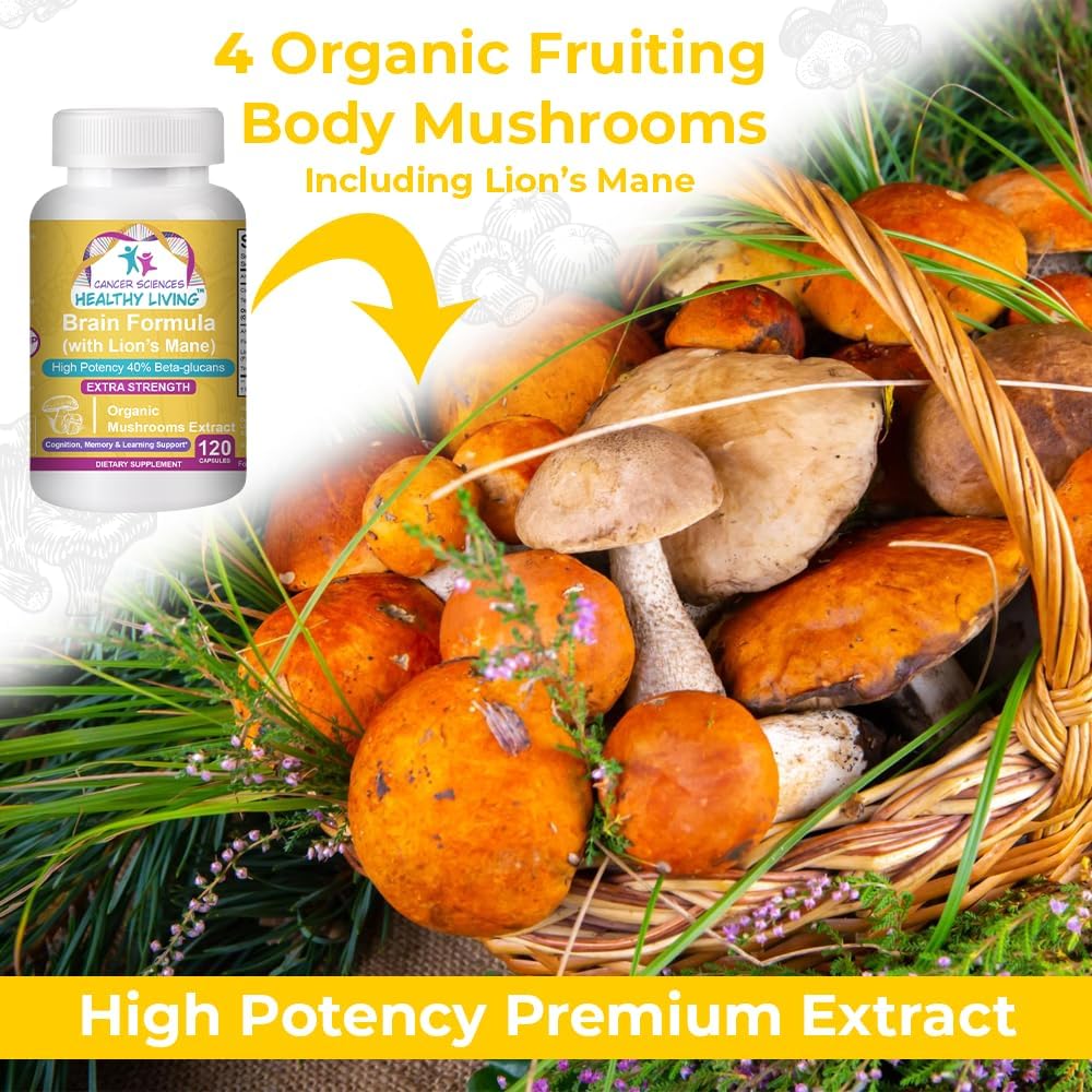 Organic Mushroom Memory Supplement for Brain Health - High Potency 1,500mg Capsules with Beta-Glucans for Immune Support