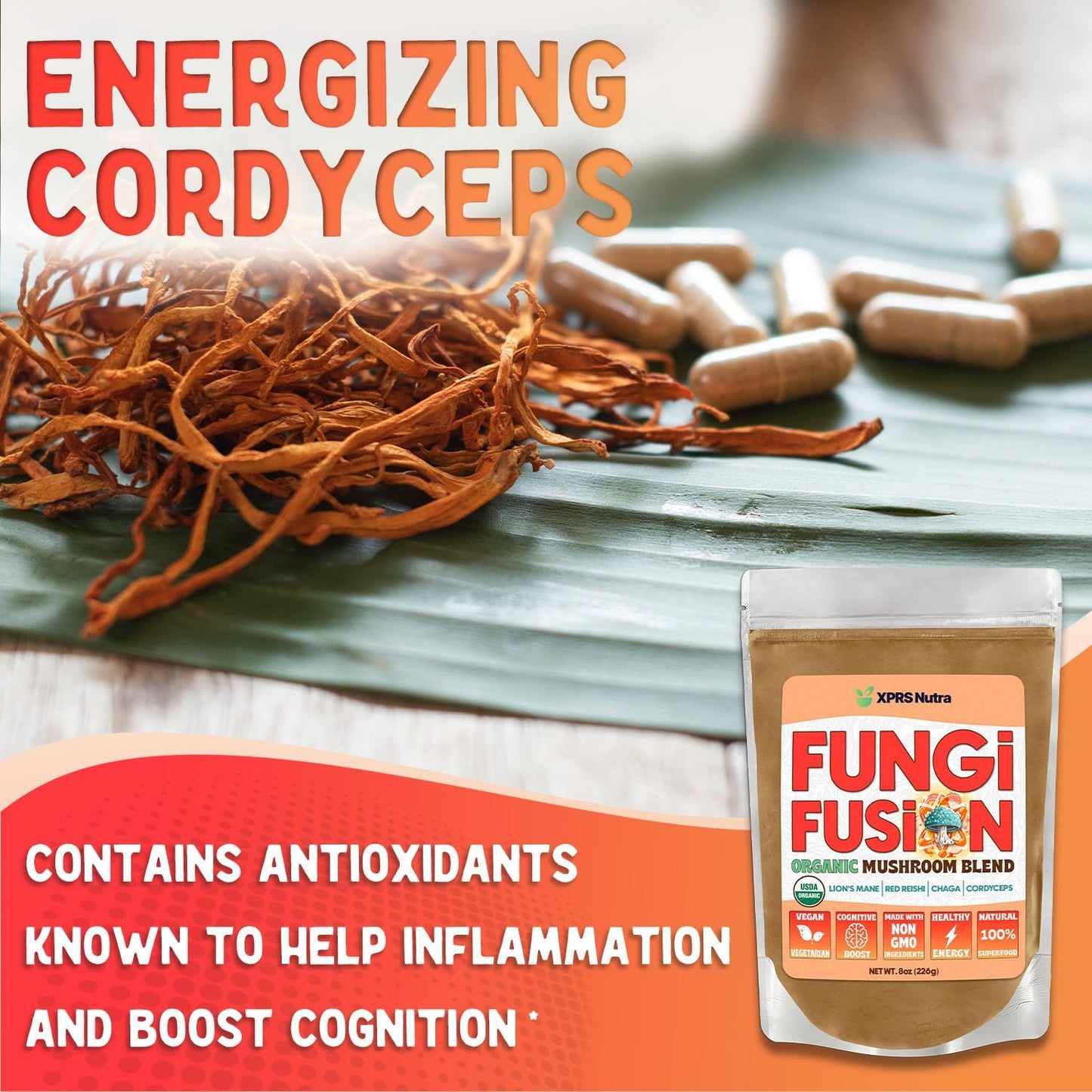 Organic Mushroom Powder Blend with Lion's Mane, Reishi, Chaga, and Cordyceps - 8 Ounce for Mental Clarity and Immunity